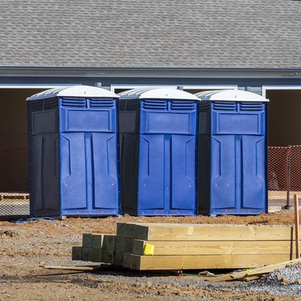 what is the cost difference between standard and deluxe porta potty rentals in South Newbury